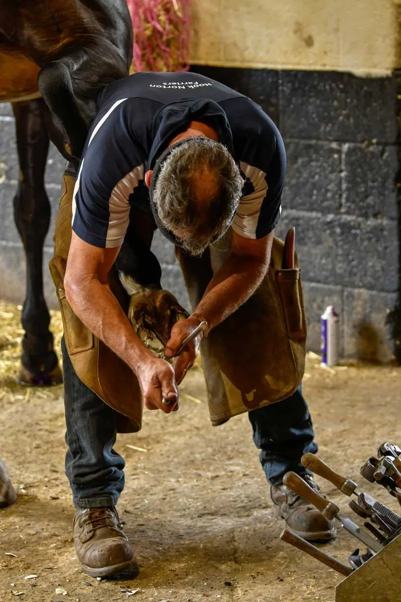 Farrier trimming a horse's hoof before fitting a shoe, Hook Norton Farriers, Oxfordshire