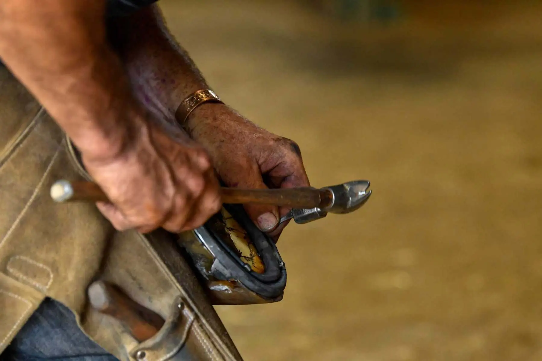 Finishing off a freshly shod hoof, Hook Norton Farriers, Oxfordshire