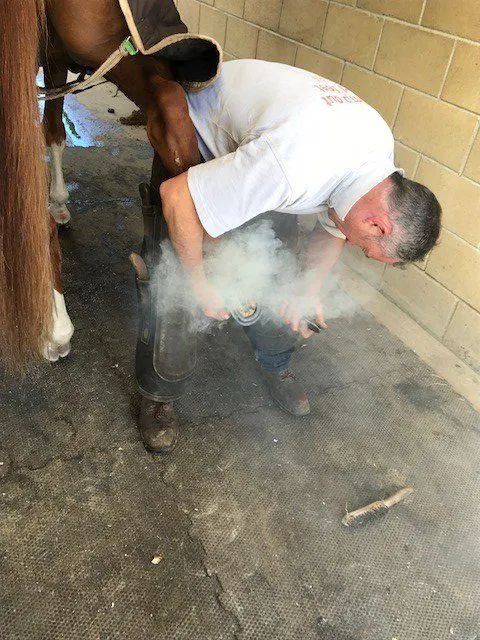 Andy Martin AWCF, farrier and owner of Hook Norton Farriers, Chipping Norton