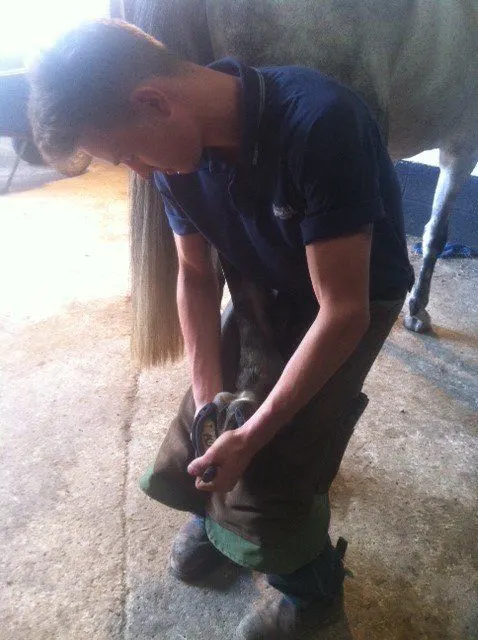 James Martin DipWCF, qualified farrier at Hook Norton Farriers, Oxfordshire